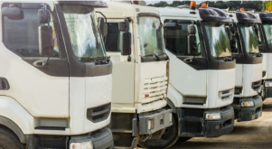 White trucks in a row.