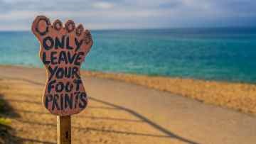 Embrace sustainability
