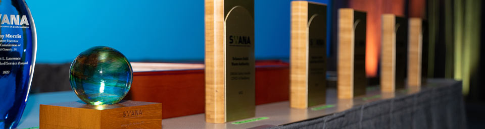 Professional Achievement Awards on a table