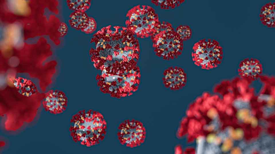 corona-virus