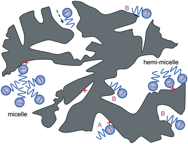 Schematic illustration of adsorption of PFOA and PFOS on activated carbon