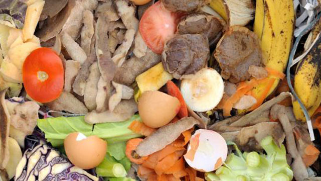 Food waste