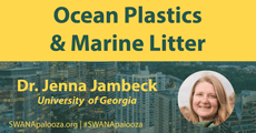 vSWP2020-Keynote-Marine_litter